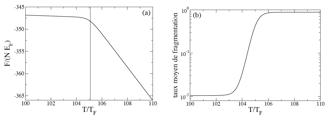 Energie libre et taux moyen de
              fragmentation