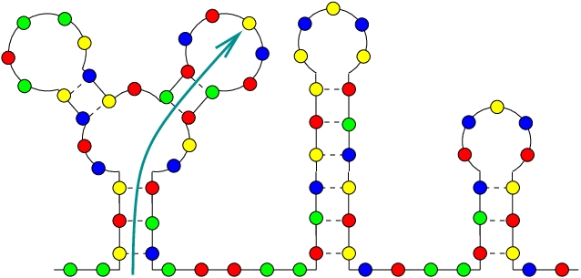 A folded RNA-sequence